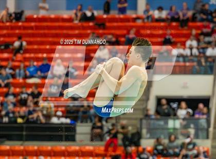 Thumbnail 2 in UIL 5A Swimming & Diving Finals (Diving) photogallery.
