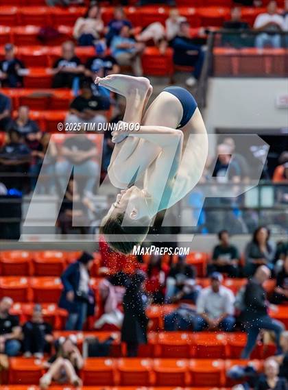 Thumbnail 3 in UIL 5A Swimming & Diving Finals (Diving) photogallery.