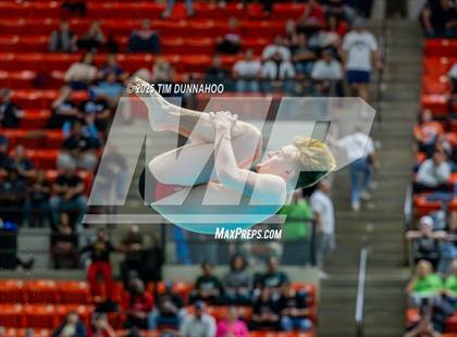 Thumbnail 3 in UIL 5A Swimming & Diving Finals (Diving) photogallery.