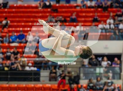 Thumbnail 1 in UIL 5A Swimming & Diving Finals (Diving) photogallery.