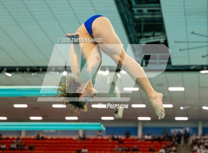 Thumbnail 2 in UIL 5A Swimming & Diving Finals (Diving) photogallery.