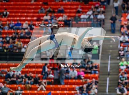 Thumbnail 1 in UIL 5A Swimming & Diving Finals (Diving) photogallery.