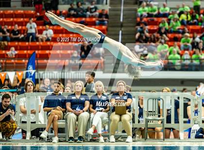 Thumbnail 3 in UIL 5A Swimming & Diving Finals (Diving) photogallery.
