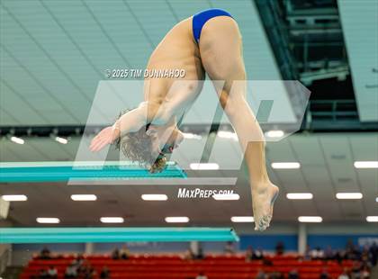 Thumbnail 1 in UIL 5A Swimming & Diving Finals (Diving) photogallery.
