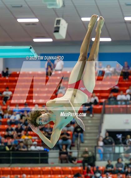 Thumbnail 3 in UIL 5A Swimming & Diving Finals (Diving) photogallery.