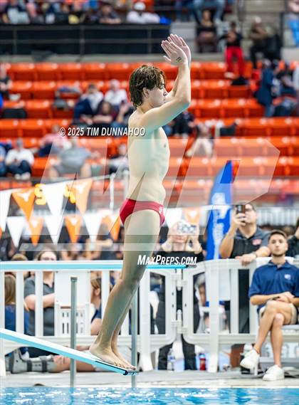 Thumbnail 2 in UIL 5A Swimming & Diving Finals (Diving) photogallery.