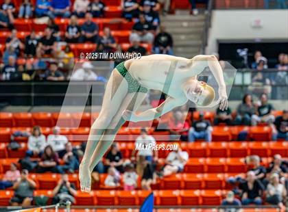 Thumbnail 2 in UIL 5A Swimming & Diving Finals (Diving) photogallery.