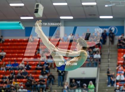Thumbnail 3 in UIL 5A Swimming & Diving Finals (Diving) photogallery.