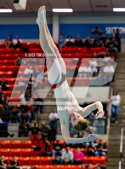 Thumbnail 3 in UIL 5A Swimming & Diving Finals (Diving) photogallery.