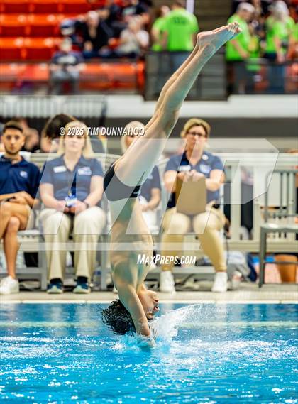 Thumbnail 1 in UIL 5A Swimming & Diving Finals (Diving) photogallery.