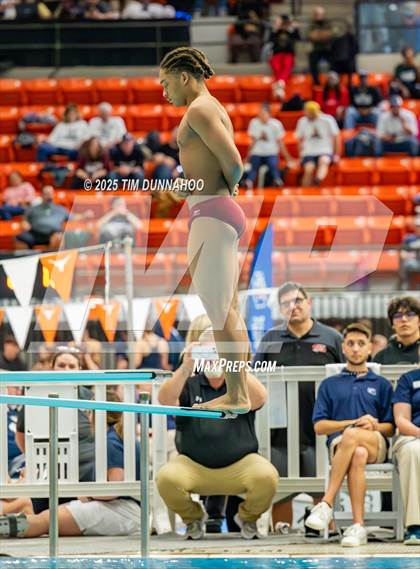 Thumbnail 3 in UIL 5A Swimming & Diving Finals (Diving) photogallery.