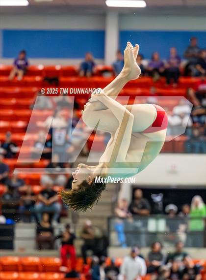 Thumbnail 3 in UIL 5A Swimming & Diving Finals (Diving) photogallery.