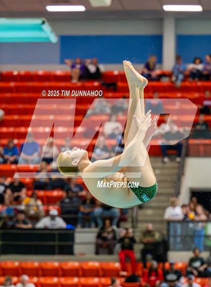Thumbnail 2 in UIL 5A Swimming & Diving Finals (Diving) photogallery.