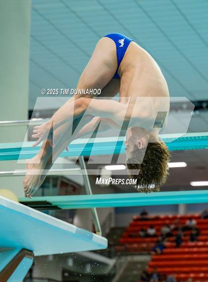 Thumbnail 1 in UIL 5A Swimming & Diving Finals (Diving) photogallery.