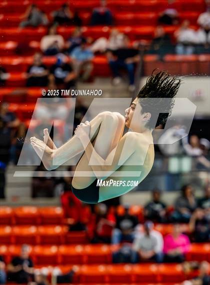 Thumbnail 3 in UIL 5A Swimming & Diving Finals (Diving) photogallery.