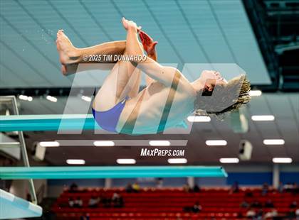 Thumbnail 1 in UIL 5A Swimming & Diving Finals (Diving) photogallery.