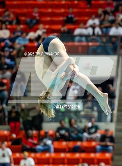 Thumbnail 1 in UIL 5A Swimming & Diving Finals (Diving) photogallery.