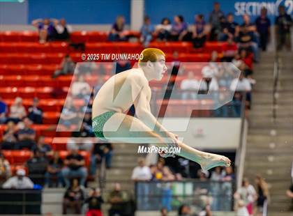 Thumbnail 3 in UIL 5A Swimming & Diving Finals (Diving) photogallery.