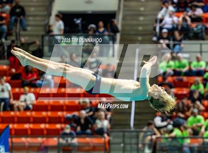 Thumbnail 2 in UIL 5A Swimming & Diving Finals (Diving) photogallery.
