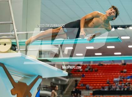 Thumbnail 3 in UIL 5A Swimming & Diving Finals (Diving) photogallery.