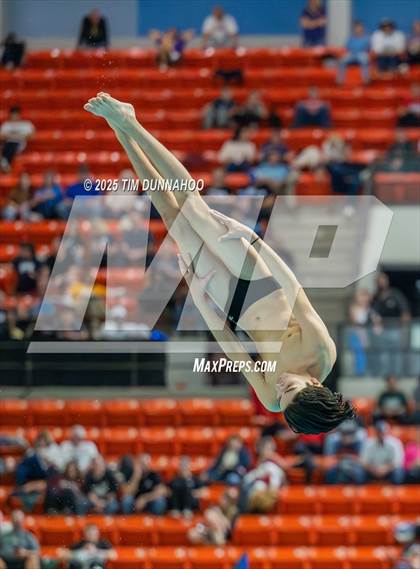 Thumbnail 3 in UIL 5A Swimming & Diving Finals (Diving) photogallery.