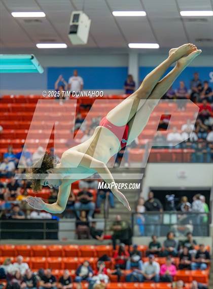 Thumbnail 1 in UIL 5A Swimming & Diving Finals (Diving) photogallery.