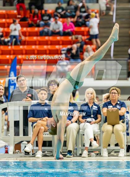 Thumbnail 2 in UIL 5A Swimming & Diving Finals (Diving) photogallery.