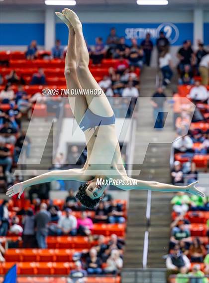 Thumbnail 2 in UIL 5A Swimming & Diving Finals (Diving) photogallery.