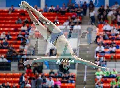 Thumbnail 1 in UIL 5A Swimming & Diving Finals (Diving) photogallery.