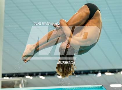 Thumbnail 3 in UIL 5A Swimming & Diving Finals (Diving) photogallery.