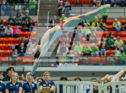 Thumbnail 3 in UIL 5A Swimming & Diving Finals (Diving) photogallery.