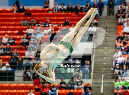 Thumbnail 2 in UIL 5A Swimming & Diving Finals (Diving) photogallery.