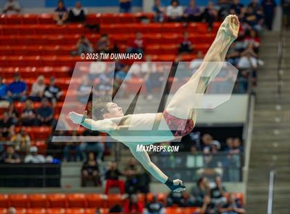 Thumbnail 2 in UIL 5A Swimming & Diving Finals (Diving) photogallery.