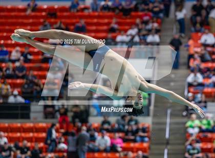 Thumbnail 3 in UIL 5A Swimming & Diving Finals (Diving) photogallery.