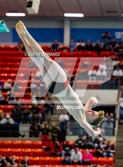 Thumbnail 2 in UIL 5A Swimming & Diving Finals (Diving) photogallery.
