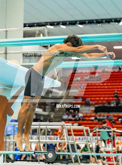 Thumbnail 2 in UIL 5A Swimming & Diving Finals (Diving) photogallery.