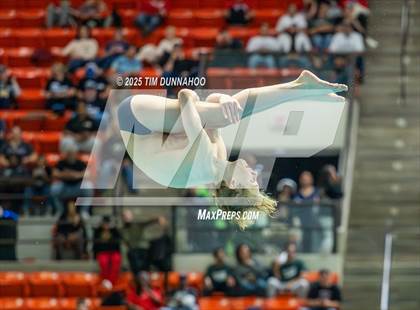 Thumbnail 3 in UIL 5A Swimming & Diving Finals (Diving) photogallery.