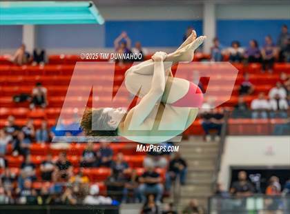 Thumbnail 3 in UIL 5A Swimming & Diving Finals (Diving) photogallery.