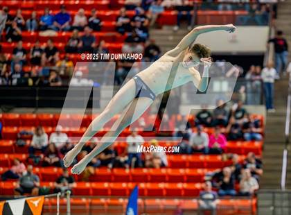 Thumbnail 2 in UIL 5A Swimming & Diving Finals (Diving) photogallery.