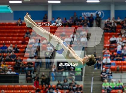 Thumbnail 1 in UIL 5A Swimming & Diving Finals (Diving) photogallery.