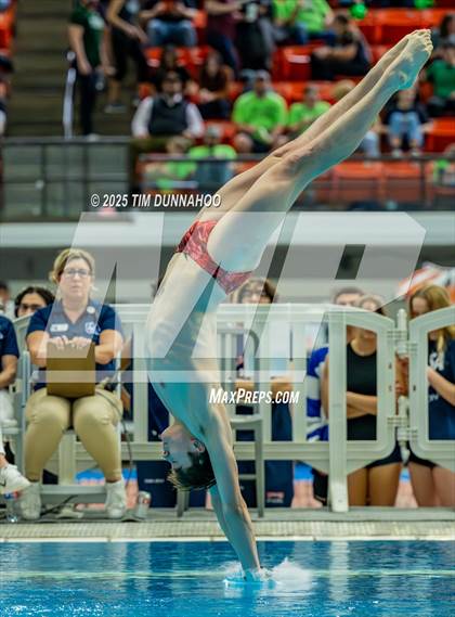 Thumbnail 2 in UIL 5A Swimming & Diving Finals (Diving) photogallery.