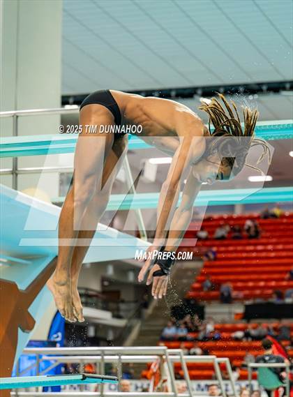 Thumbnail 1 in UIL 5A Swimming & Diving Finals (Diving) photogallery.