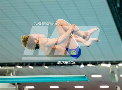 Thumbnail 3 in UIL 5A Swimming & Diving Finals (Diving) photogallery.