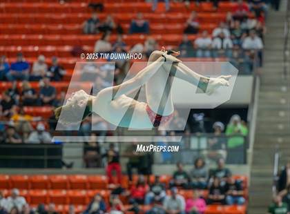 Thumbnail 2 in UIL 5A Swimming & Diving Finals (Diving) photogallery.