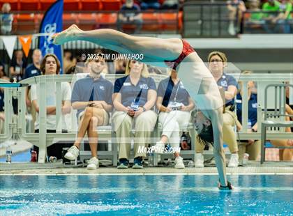 Thumbnail 3 in UIL 5A Swimming & Diving Finals (Diving) photogallery.