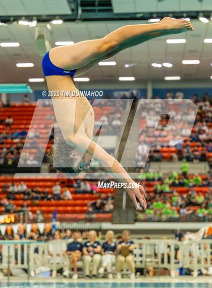 Thumbnail 1 in UIL 5A Swimming & Diving Finals (Diving) photogallery.