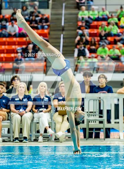 Thumbnail 2 in UIL 5A Swimming & Diving Finals (Diving) photogallery.
