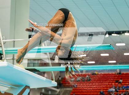 Thumbnail 2 in UIL 5A Swimming & Diving Finals (Diving) photogallery.
