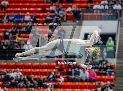 Thumbnail 3 in UIL 5A Swimming & Diving Finals (Diving) photogallery.