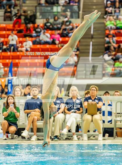 Thumbnail 3 in UIL 5A Swimming & Diving Finals (Diving) photogallery.